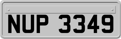 NUP3349