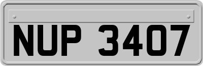 NUP3407