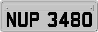 NUP3480
