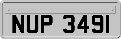 NUP3491