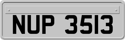 NUP3513