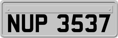 NUP3537