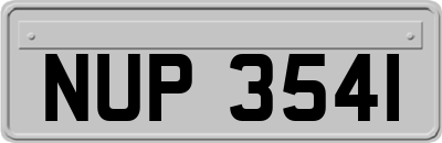 NUP3541