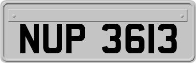 NUP3613