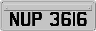 NUP3616