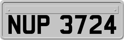 NUP3724