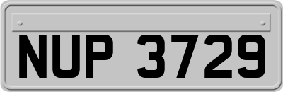 NUP3729