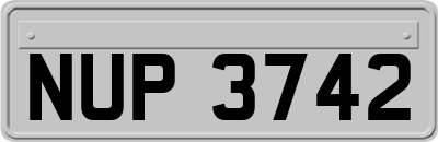 NUP3742