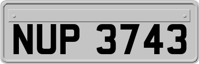 NUP3743