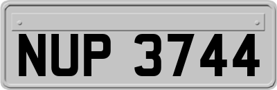 NUP3744