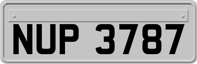 NUP3787