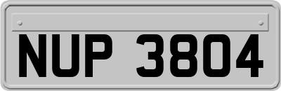 NUP3804