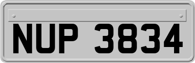 NUP3834