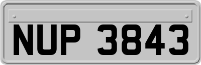 NUP3843