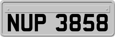NUP3858