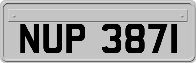 NUP3871
