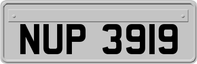 NUP3919