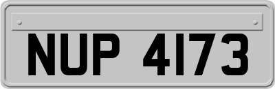 NUP4173