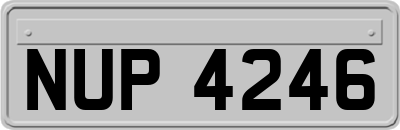 NUP4246