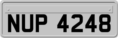 NUP4248