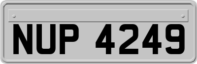 NUP4249