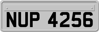NUP4256