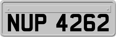 NUP4262