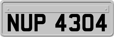 NUP4304