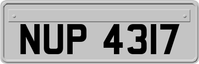 NUP4317