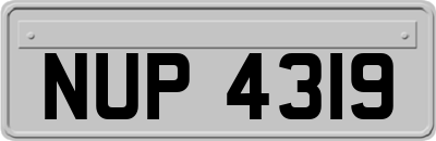 NUP4319