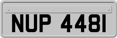NUP4481