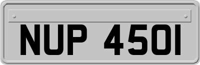 NUP4501