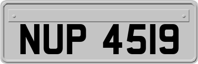 NUP4519