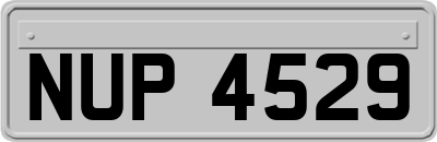 NUP4529