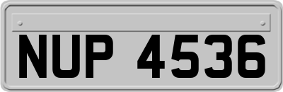 NUP4536