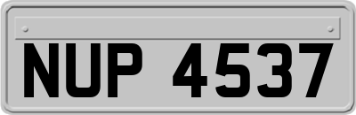 NUP4537