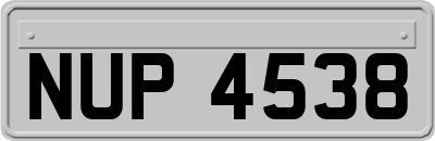 NUP4538