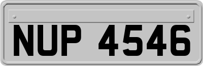NUP4546
