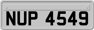 NUP4549