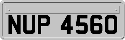 NUP4560