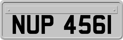 NUP4561