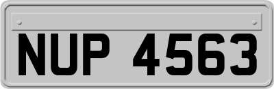 NUP4563