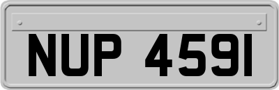 NUP4591