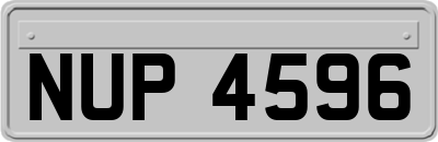 NUP4596