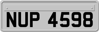 NUP4598