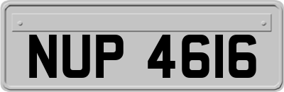 NUP4616