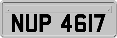 NUP4617