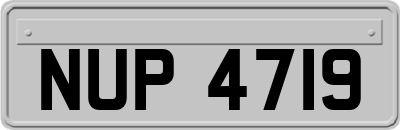 NUP4719