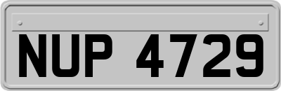 NUP4729