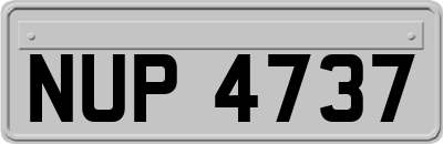 NUP4737